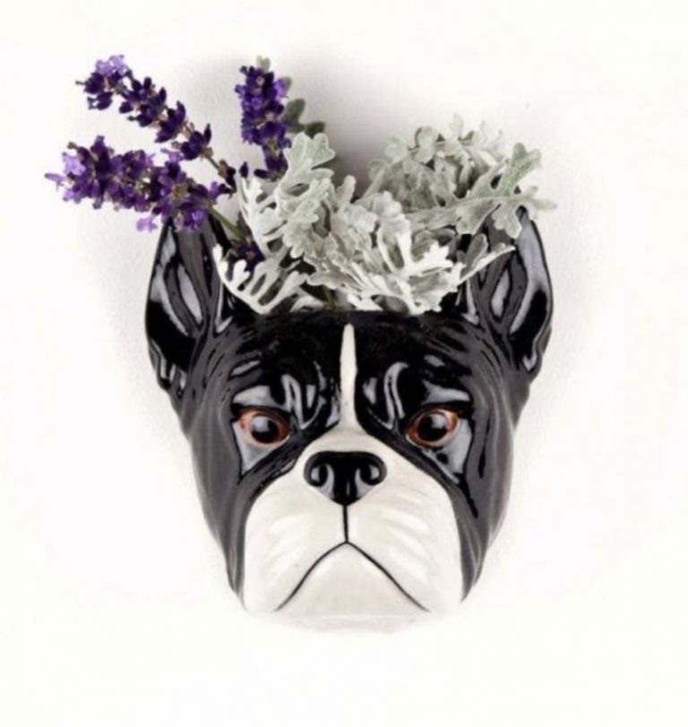 Vaso QUAIL BULLDOG